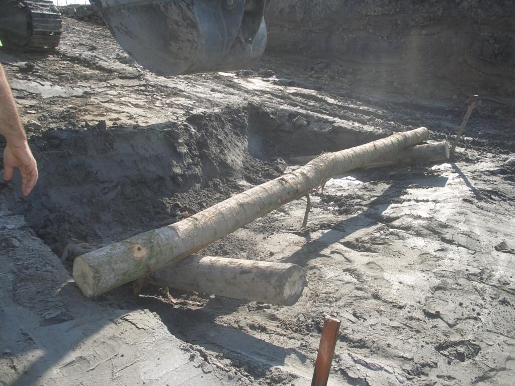 de9df27c-cc55-4044-90f3-ee2d5e76ea82